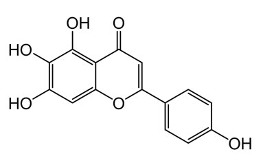 PA PHY 004721