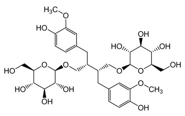 PA PHY 004722