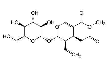 PA PHY 004723