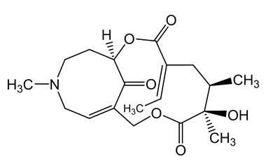 PA PHY 004728