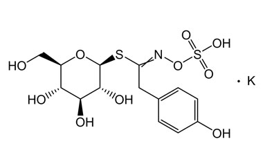 PA PHY 004742