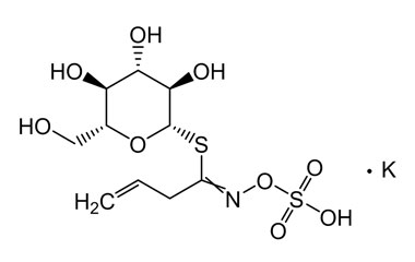 PA PHY 004743