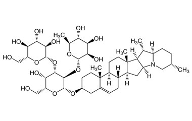 PA PHY 004747