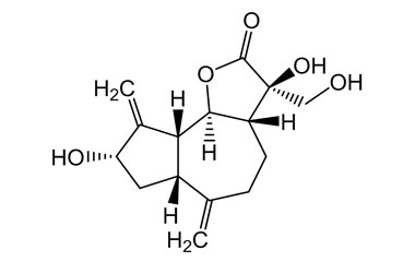 PA PHY 004748