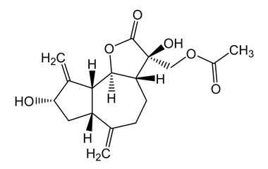 PA PHY 004749