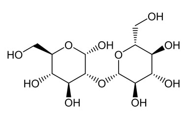 PA PHY 004750