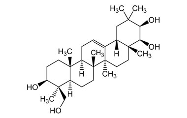 PA PHY 004751