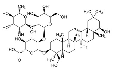 PA PHY 004752