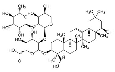 PA PHY 004753