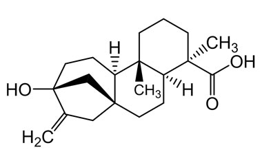 PA PHY 004758