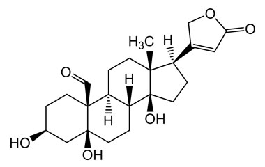 PA PHY 004760