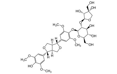 PA PHY 004772