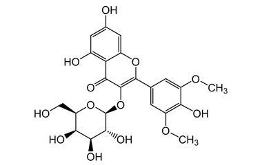 PA PHY 004773