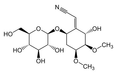 PA PHY 004775