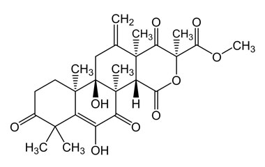 PA PHY 004784