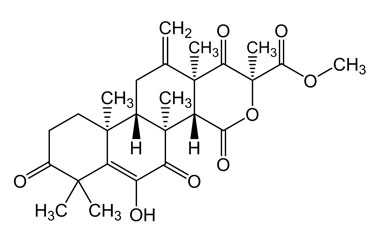 PA PHY 004785