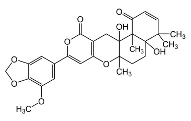 PA PHY 004786