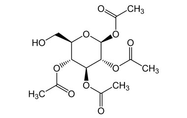 PA PHY 004787