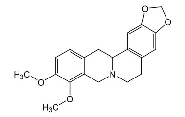 PA PHY 004789