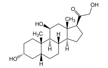 PA PHY 004790