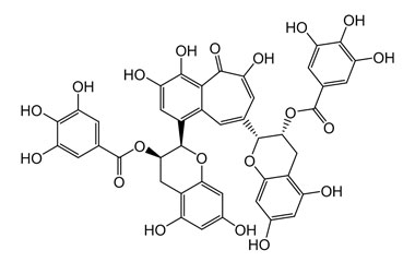 PA PHY 004797