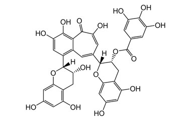 PA PHY 004798