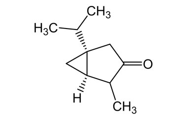 PA PHY 004802