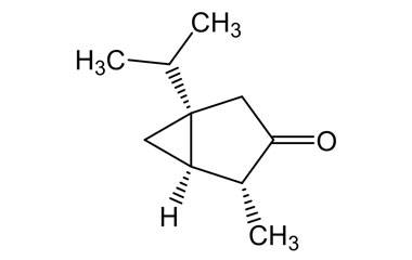 PA PHY 004803