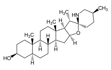 PA PHY 004806