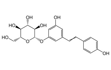 PA PHY 004810