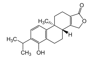 PA PHY 004812