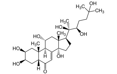 PA PHY 004815