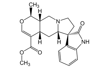 PA PHY 004818