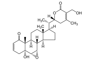 PA PHY 004847