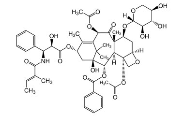 PA PHY 004852