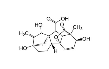 PA PHY 004884