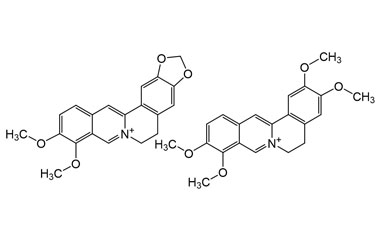 PA PHY 004906