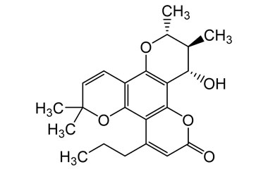 PA PHY 004941