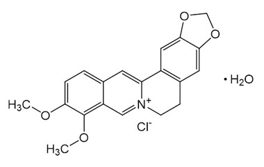 PA PHY 004944