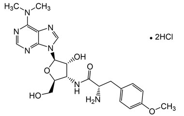 PA PHY 004963