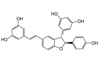 PA PHY 004966