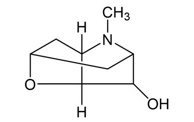 PA PHY 004967