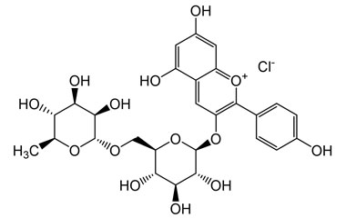 PA PHY 004973