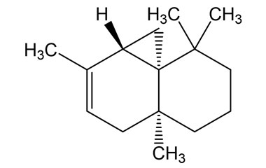 PA PHY 004983