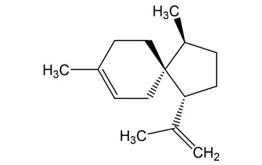 PA PHY 004985