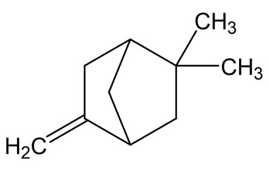 PA PHY 004996