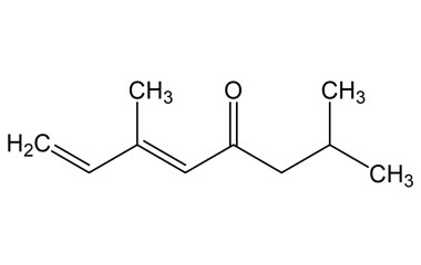 PA PHY 005000