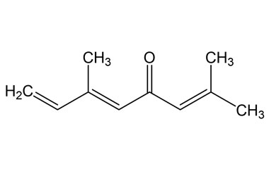 PA PHY 005002