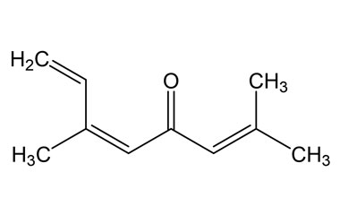 PA PHY 005003