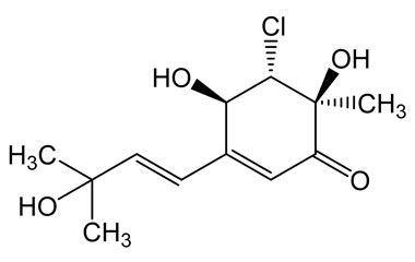 PA PHY 005010